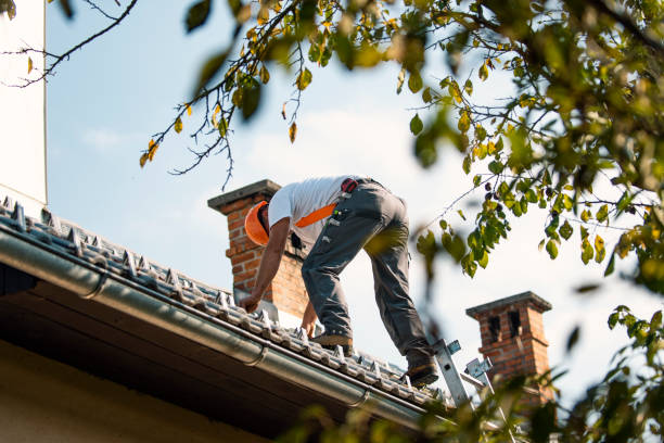 Best Metal Roofing Installation  in Ashland, MO